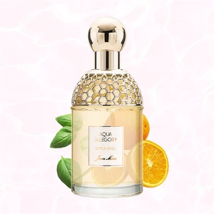 High Grade 100ml Lasting Fragrance